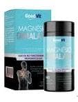 MAGNESIO DIMALATO 60''S